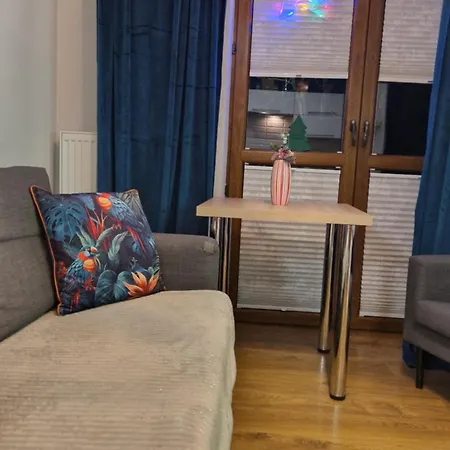 Gwiazda Przy Stoku Na Parterze Z Ogrodkiem Apartment Krynica Zdroj